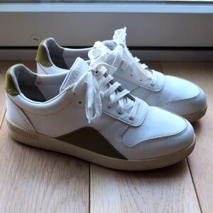 Everlane ReLeather Court Sneakers in Willow Green